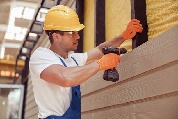 Best Custom Trim and Detailing for Siding  in Brownlee Park, MI