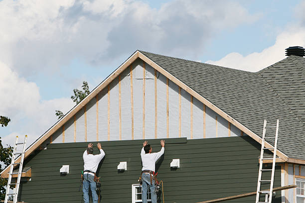 Best Stone Veneer Siding  in Brownlee Park, MI